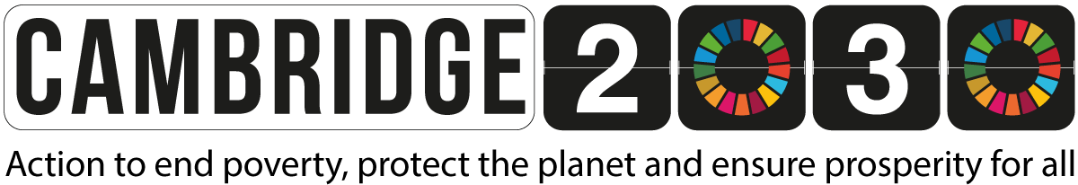 Cambridge 2030 landscape logo